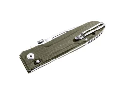 Hot LionSteel Big Daghetta G10 Green Satin