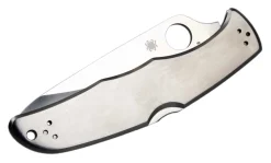 Clearance Spyderco Endura Combination