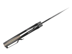 New Kizer Roach Mini G10 All Black