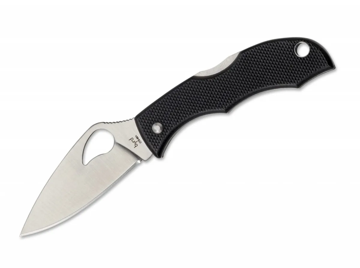 Best Byrd Starling 2