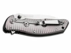 Hot Dendra Tiger Jump