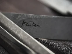 Best Böker Plus Wasabi Damascus